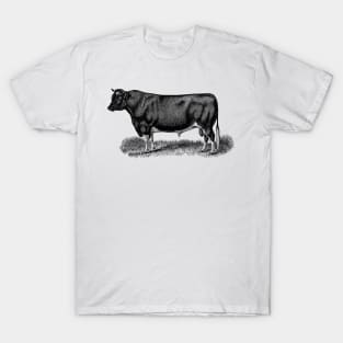 Black Bull Illustration T-Shirt